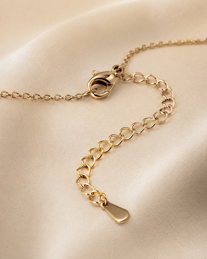 Seashell Locket Necklace
